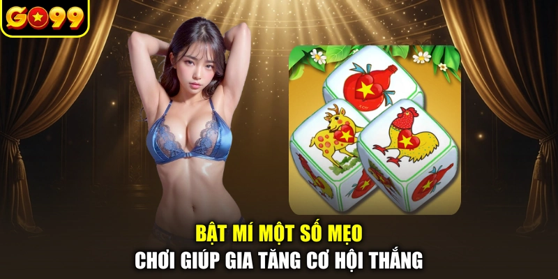 Bật mí một số mẹo chơi giúp gia tăng cơ hội thắng